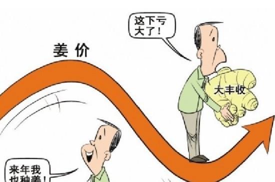 “姜你军”跌的最狠 是咋回事呢？